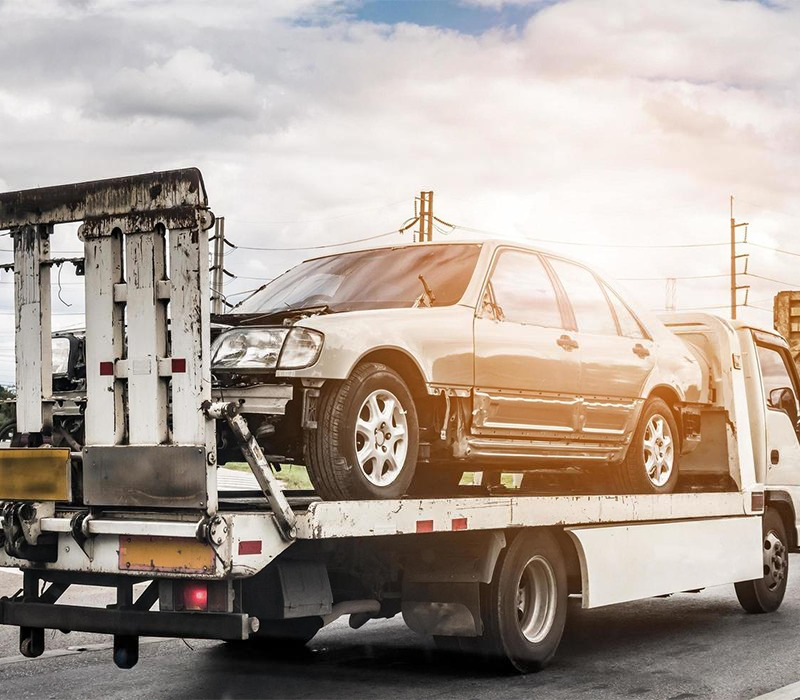 DeWatermark.ai_1744437875694